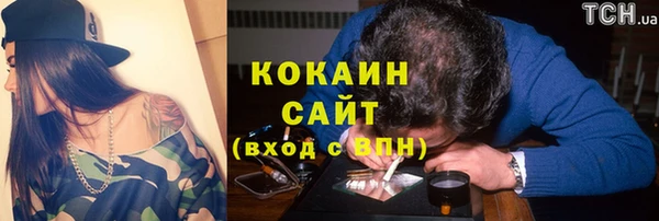 сатива Бородино