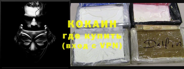 сатива Бородино