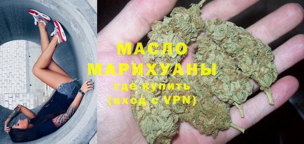 сатива Бородино