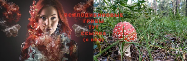 прущий лед Бронницы