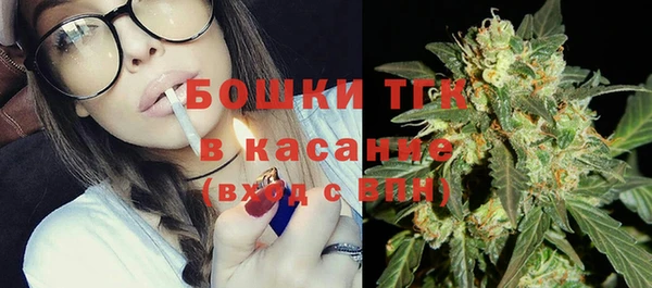 сатива Бородино