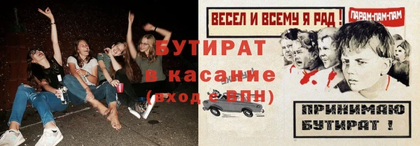 сатива Бородино