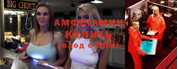 сатива Бородино