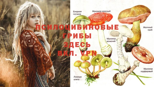 прущий лед Бронницы