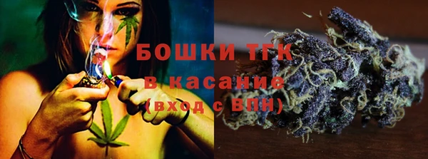 сатива Бородино