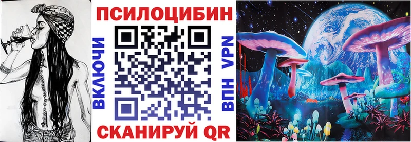 Псилоцибиновые грибы Cubensis Нахабино